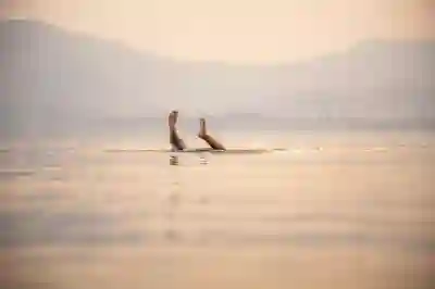 지마켓 고객센터 전화번호와 운영시간 알아보자