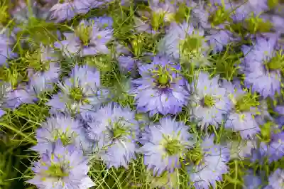 천안에서 버스 실시간 위치 확인하는 꿀팁