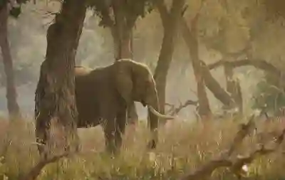 간선상차 하차의 중요성을 통해 물류 효율성 높이는 법 알아보기