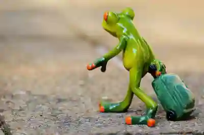 모범납세자 혜택 완전 정복과 세금 포인트 활용법 알아보기