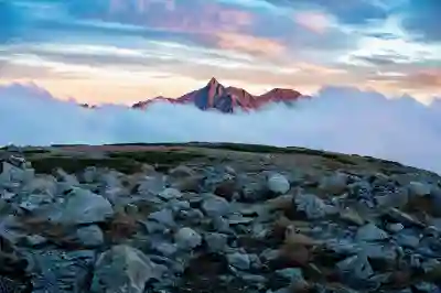 국민연금공단 청년 인턴으로 꿈을 키워보세요!