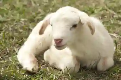 리얼클래스와 스픽, 4개월 사용 후 진짜 차이점 살펴보기
