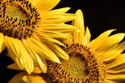 비정규직 채용 동향과 한전의 미래: 변화하는 고용 시장에서의 새로운 기회 탐색하기