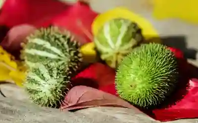 임플란트 치아보험, 전문가와 함께하는 완벽 가입 가이드