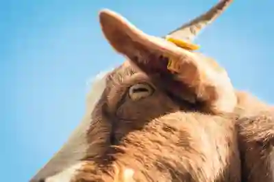 팽이버섯으로 만드는 영양 만점 한 그릇 요리법 알아보기