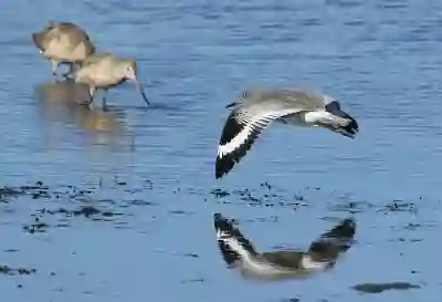 국내선 항공 결항 정보와 예약 변경 및 환불 방법 알아보자
