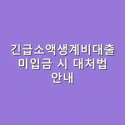 긴급소액생계비대출 미입금 시 대처법 안내